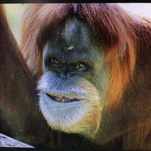 Meet your Posher, Rich